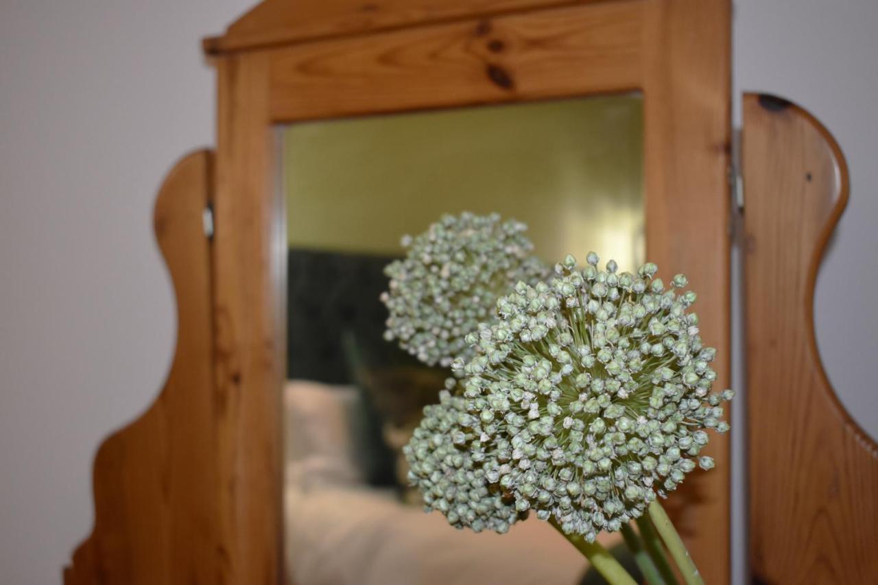 شقة The Botanical House غرب سومرست المظهر الخارجي الصورة