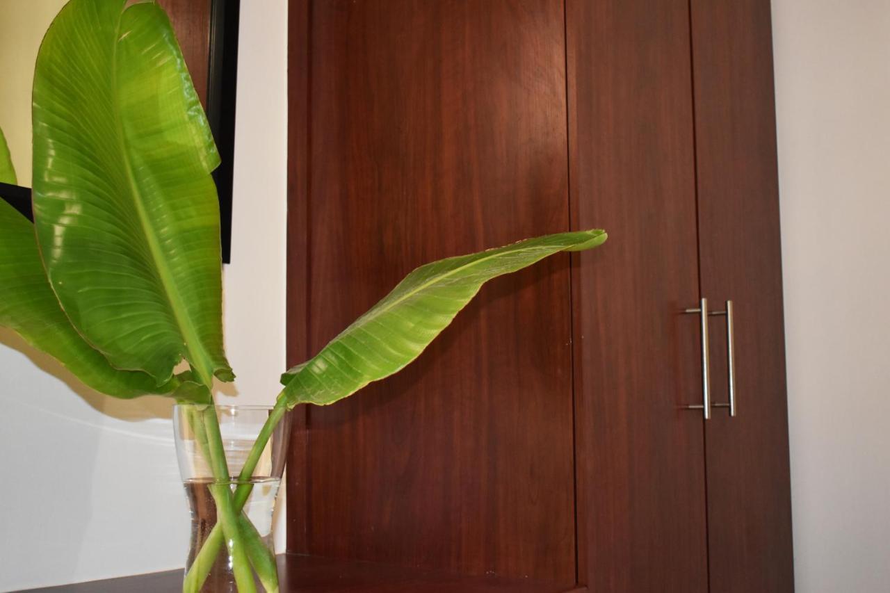 شقة The Botanical House غرب سومرست المظهر الخارجي الصورة