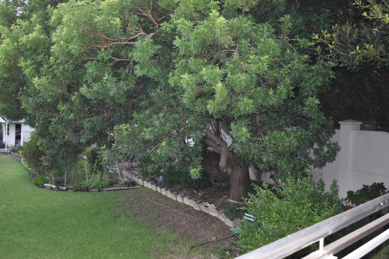 شقة The Botanical House غرب سومرست المظهر الخارجي الصورة